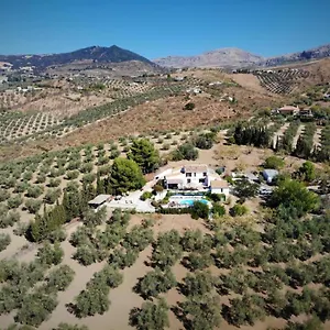 Amorosa , Villanueva de la Concepción España